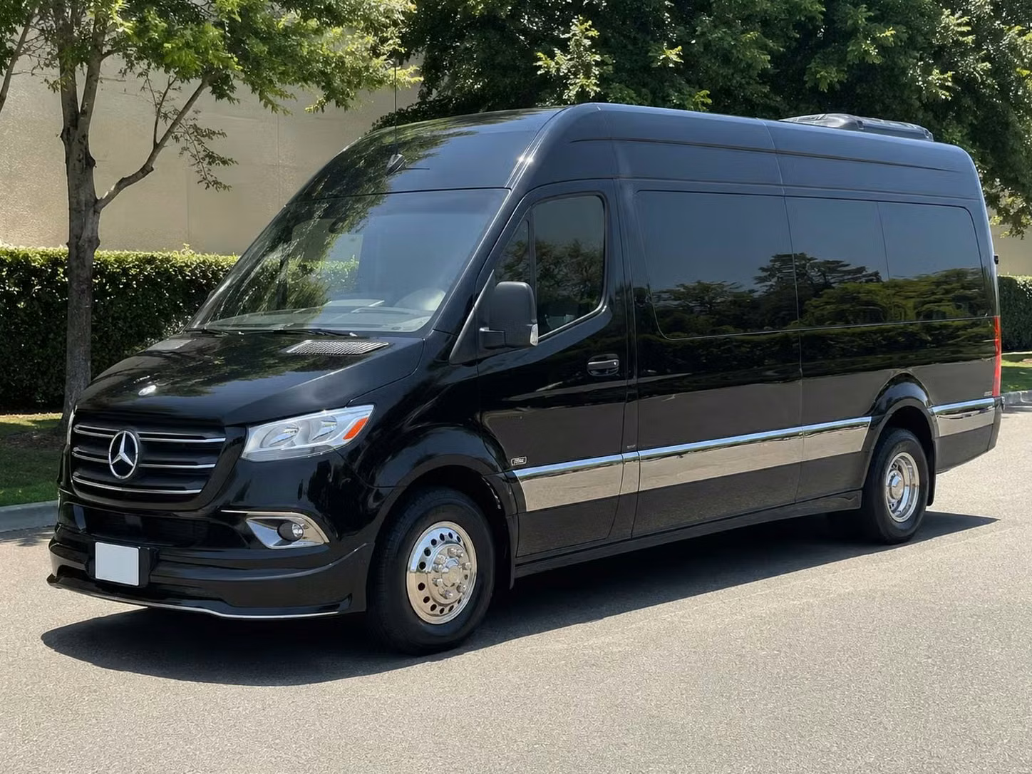 sprinter van with driver